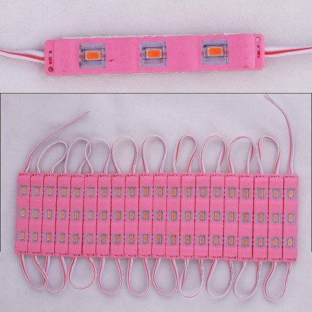 3 LED strips 12V Waterproof 5630/5730 LED SMD Injection module Pink - 20 module Image 